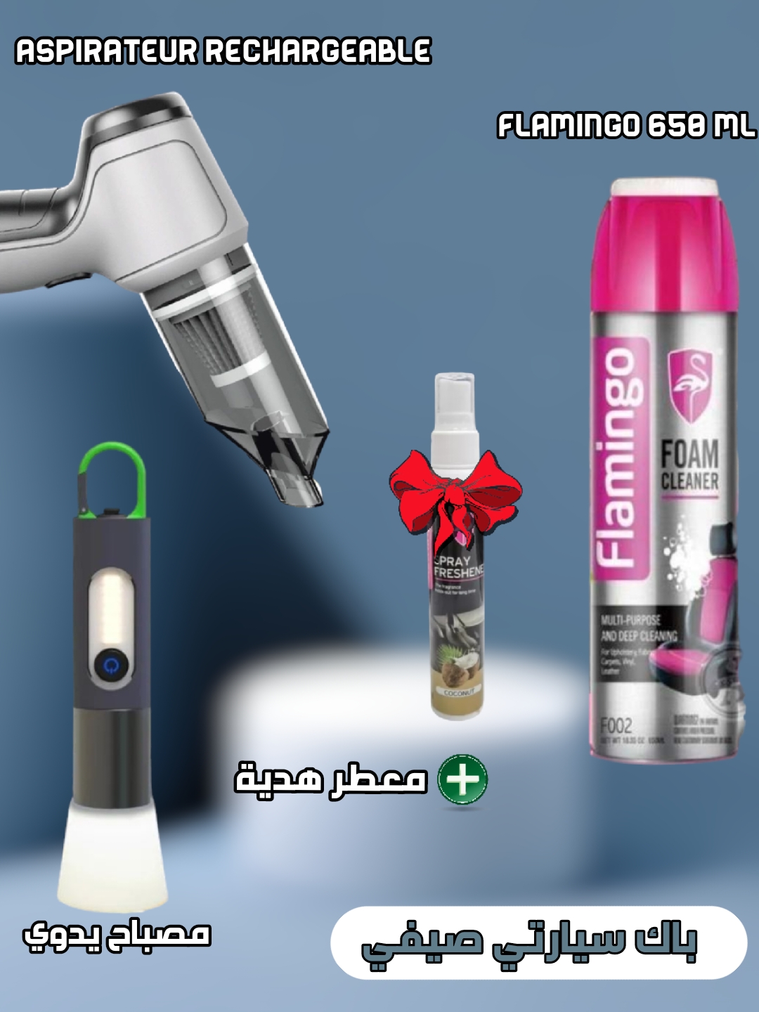 Pack 3x1 ( Aspirateur, Lampe torche, Flamingo 650ml) + Cadeau