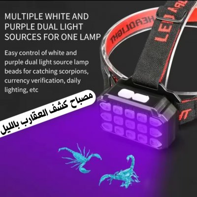 Lampe frontale à lumière noire UV LED, lumière blanche et UV, Super brillante, Rechargeable lampe frontale à lumière noire